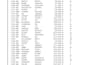 do accurate excel data entry, cleaning, formatting and copy paste